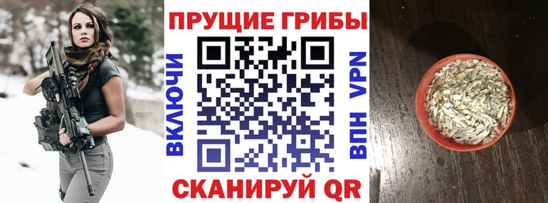 Купить где  Старая Купавна  Галлюциногенные грибы мицелий 